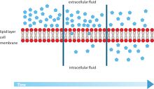 diffusion of cell membrane clipart