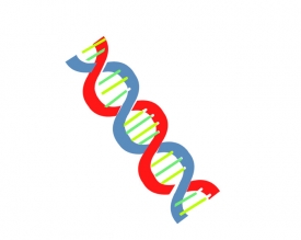 dna helix animated clipart 2