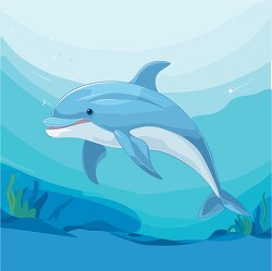 dolphin exploring the underwater under water world