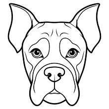 drawing of a boxer dogs face