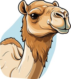 drawing of a camel head