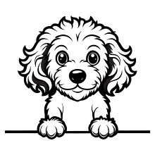 drawing of a cute poodle puppy black outline