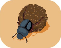 dung beetle or scarabs insect clipart
