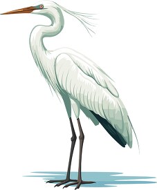 egret bird long slender legs