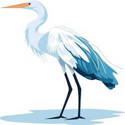 egret bird standing motionless