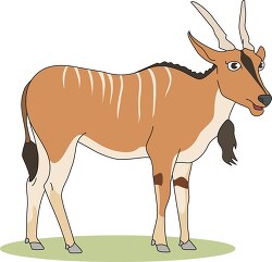 eland with shaggy coat spiral shaped horns clip art