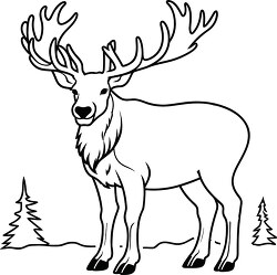 elk shows off powerful antlers black outline