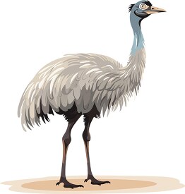 emu large flightless bird native to australia