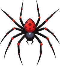 flat vector design of a black spider with red markings