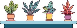 four house plants on a shelf