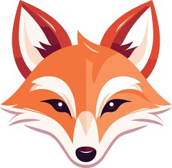 fox face front view