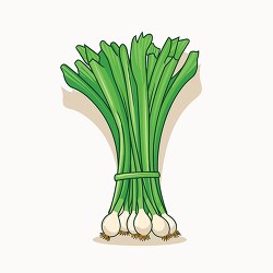 fresh bunch green onions clip art