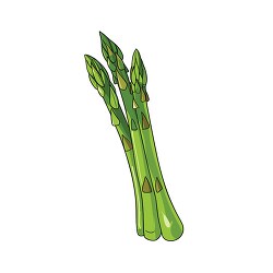 freshly picked gree asparagus stalks clip art