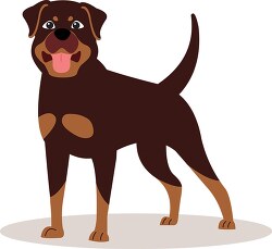 front view of standing brown Rottweiler Dog Clipart