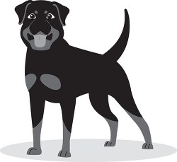 front view of standing brown rottweiler dog gray color clip art
