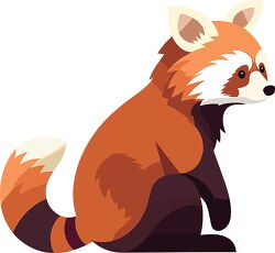 furry red panda with long tail clip art