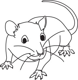 furry rodent little rat outline printable clip art