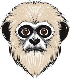 gibbon face