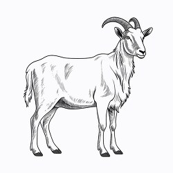 goat black outline clip art