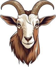 goats head with long horns on a white background