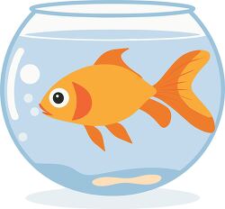 goldfish swimming in a fishbowl