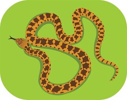 gopher nonvenomous colubrid snake clipart