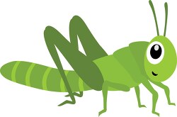 Grasshopper Insects Animal Clipart