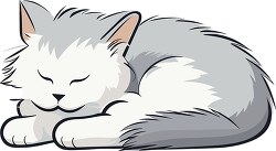 gray and white cat curled up sleeping