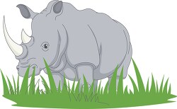 gray rhino walks in grassy african savanna vector clipart