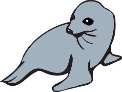 gray seal clip art