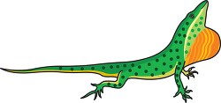green anole spotted clipart
