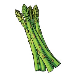 green asparagus vegetable clip art