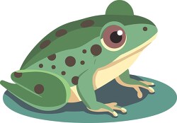 green frog with black spots