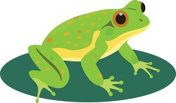 green frog with orange spots