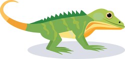 green lizard with a orange yellow tail 