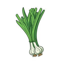 green onions bunched together clip art