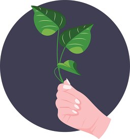 hand holding a plant with leaves in the air round background cli