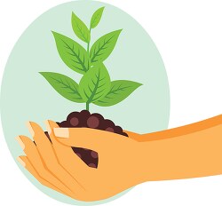 hands holding grow trees in soil clipart