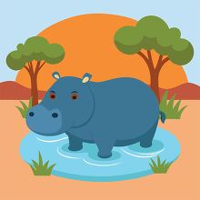 hippo stands in a small water hole