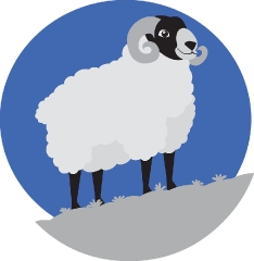 horned sheep standing on a hillside gray color clipart