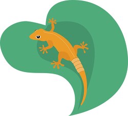 House Lizard Reptile Animal Clipart