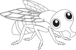Housefly Insects Animal Clipart copy