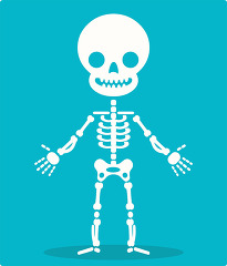 human anatony skeleton system cartoon style clip art