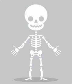 human anatony skeleton system cartoon style gray color clip art