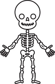 human skeleton system anatomy clipart copy