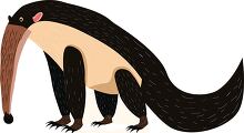 illustration of an anteater with a long snout