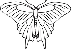 insect black outline clipart 11