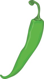 jalapeno green pepper clipart