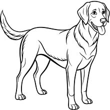 Labrador Retriever with a wagging tail outline