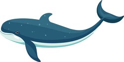 large blue whale flat design vector clipart